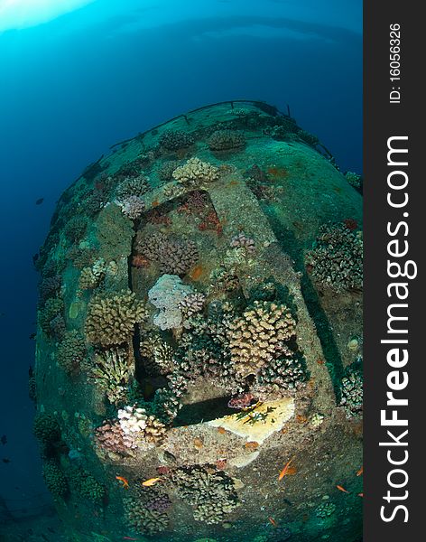 The funnel of the Red Sea shipwreck, Giannis D Shaï¿½ab Abu-Nuhas, Red Sea, Egypt. The funnel of the Red Sea shipwreck, Giannis D Shaï¿½ab Abu-Nuhas, Red Sea, Egypt.