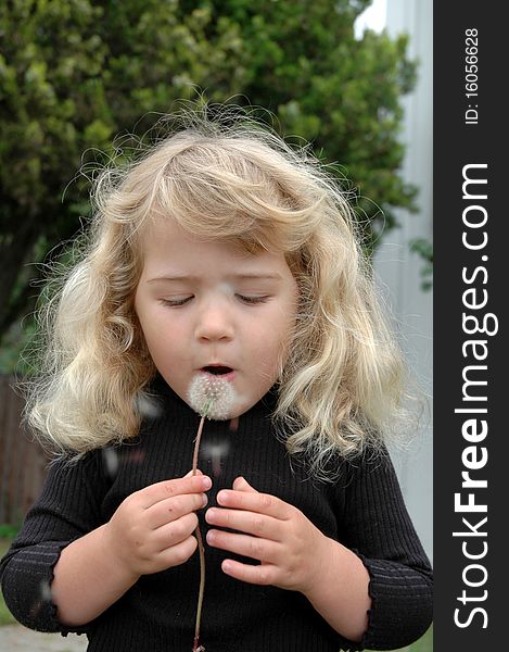 Three year old girl blowing on a dandelion puff and making a wish