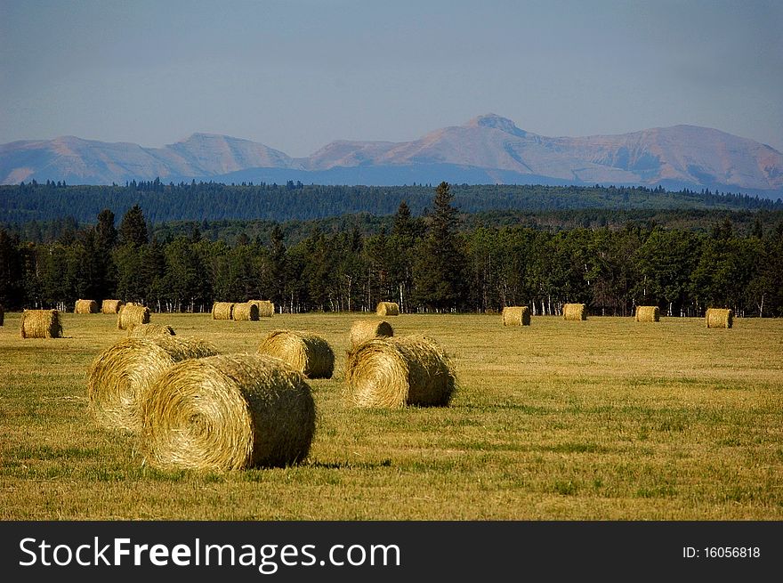 Bails of Hay ready for the Winter in ranch country with the Canadian Rockies in the background. Bails of Hay ready for the Winter in ranch country with the Canadian Rockies in the background.