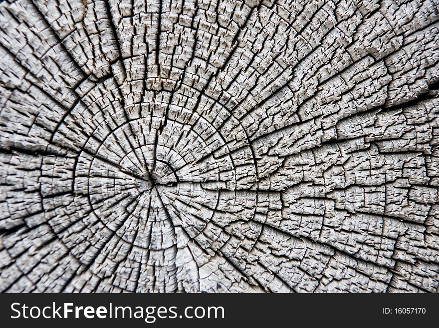 Dry and cracked weathered wood