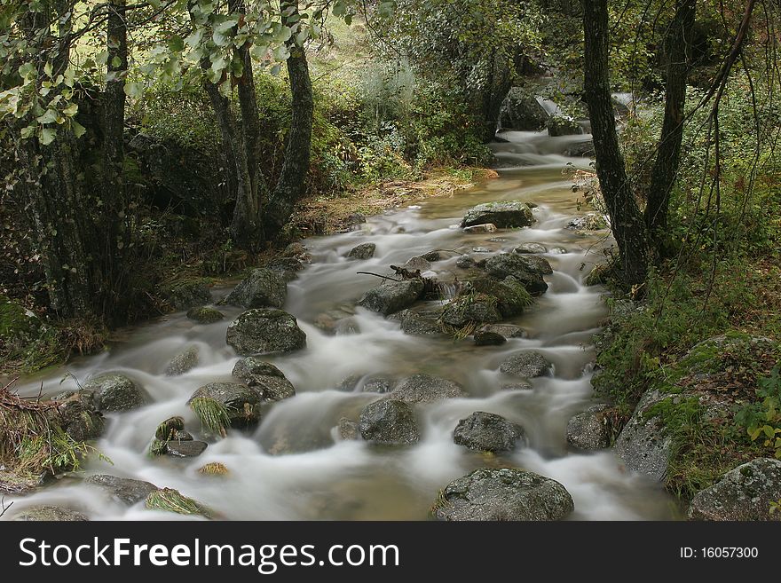 Image taken in the Sierra de Gredos, Spain. In the middle of fall season. Image taken in the Sierra de Gredos, Spain. In the middle of fall season.