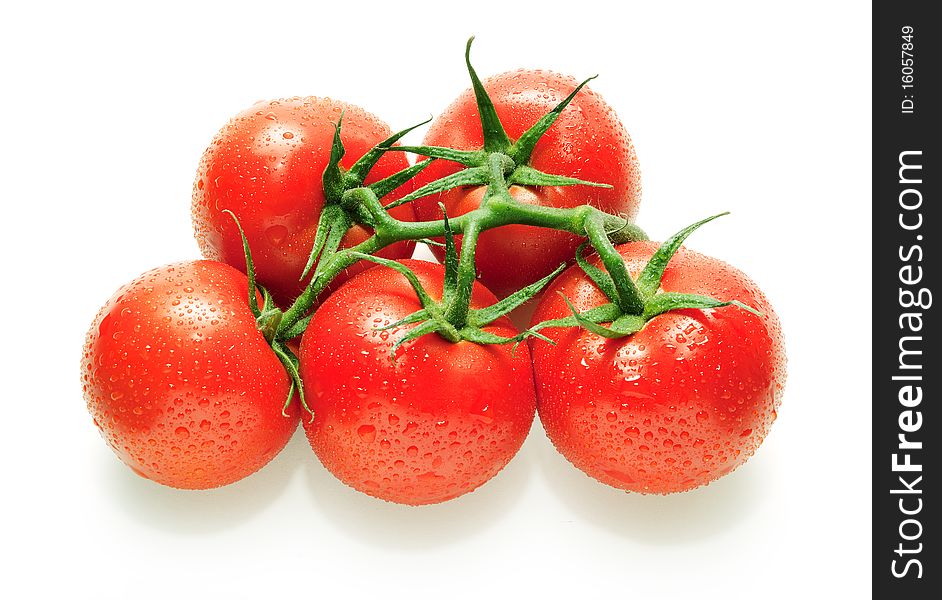 Tomatoes On Branch