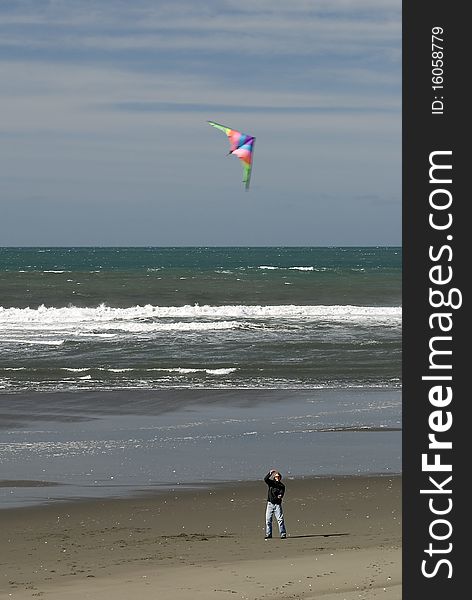 Kite Flying On Beach