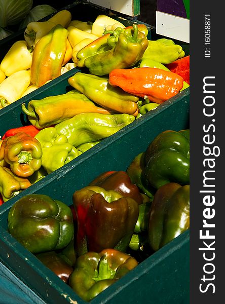 Bins of assorted peppers at a farmer's market. Bins of assorted peppers at a farmer's market