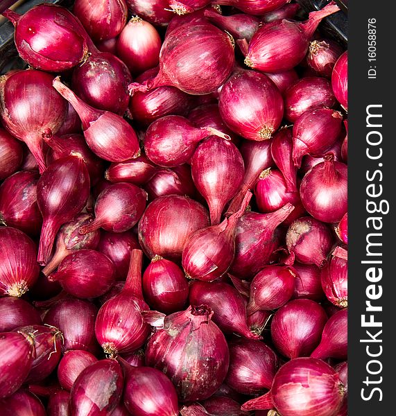 Purple Onions for sale at a farmer's market