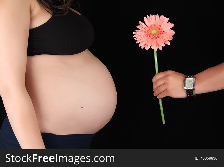 Man holding Gerber daisy to womans pregnant stomach. Man holding Gerber daisy to womans pregnant stomach
