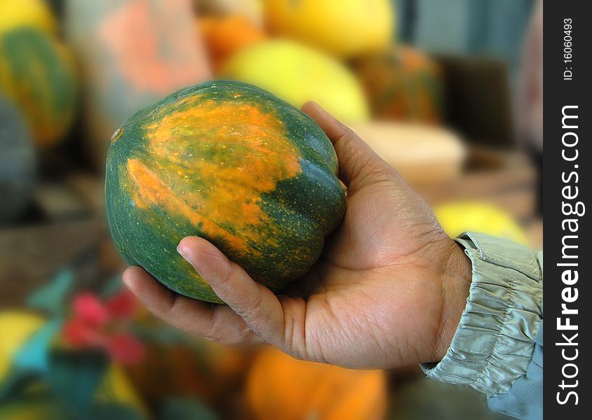 A hand holding a pumpkin