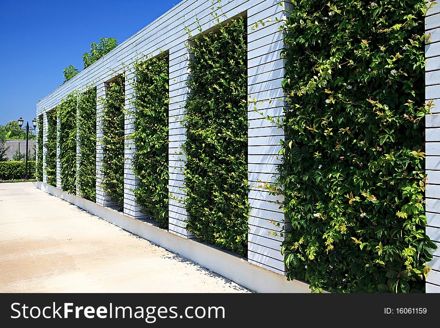 Decorative fence with a plant