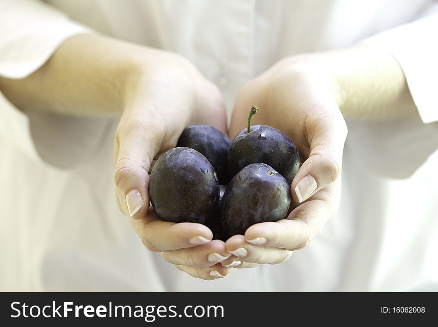 Fresh Plums In Woman S Hands.