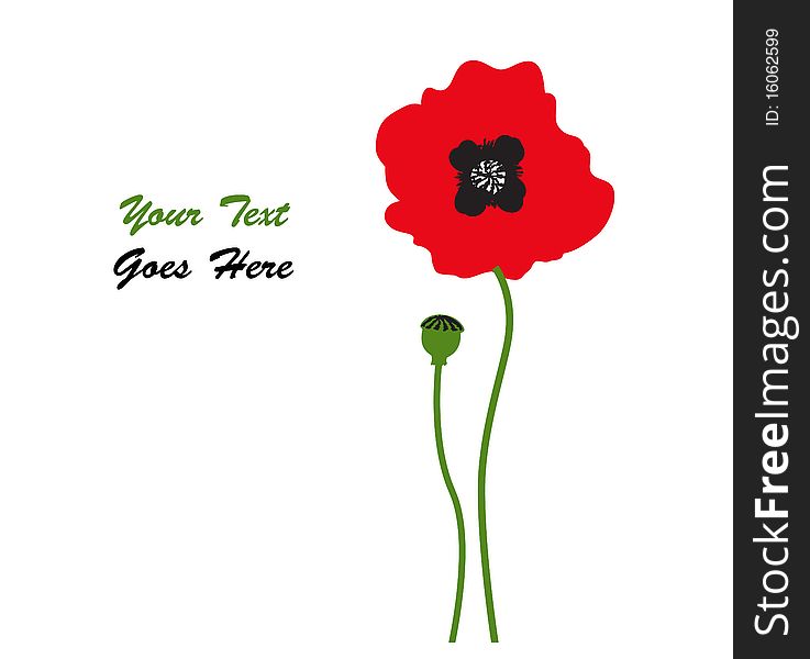 Red poppy. Poppy flower for any graphic project. Red poppy. Poppy flower for any graphic project.