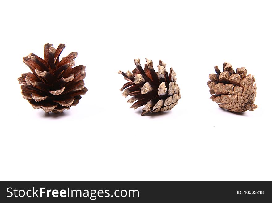 Cones of different size - from big to small