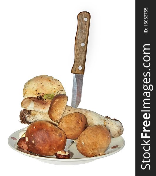 Ceps on a plate isolated on a white background