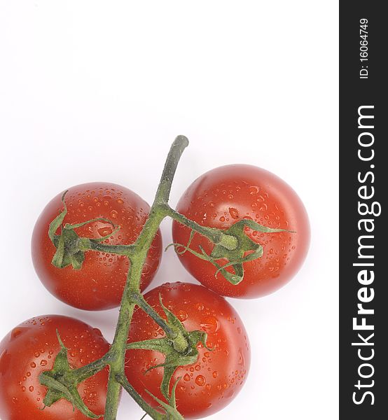 Close up of ripe vine tomatoes over white