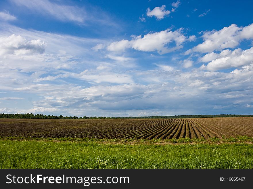 Summer landscape whit clouds and green grass. Summer landscape whit clouds and green grass