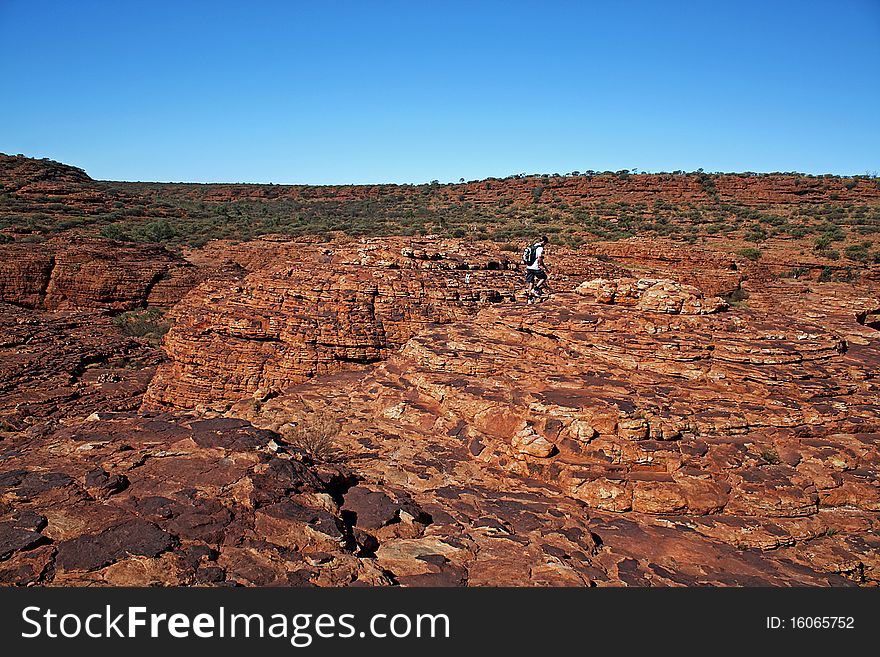 Kings Canyon is situated within the Watarrka National Park, and is a huge canyon 270m high. The hike around the rim of the canyon is definitely worth it as the views are spectacular, although it can take 3-4 hours to complete. On your way around the rim of the canyon you will pass the tropical pools of the Garden of Eden, and the beehive rock formations called the Lost City. The views from the canyon are also spectacular, overlooking the beautiful Australian landscape. Kings Canyon is situated within the Watarrka National Park, and is a huge canyon 270m high. The hike around the rim of the canyon is definitely worth it as the views are spectacular, although it can take 3-4 hours to complete. On your way around the rim of the canyon you will pass the tropical pools of the Garden of Eden, and the beehive rock formations called the Lost City. The views from the canyon are also spectacular, overlooking the beautiful Australian landscape.