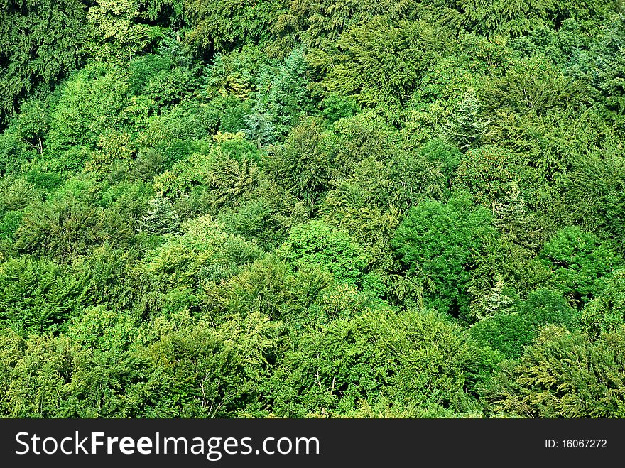Its a pitoresque Alpbad forest seen from air in the region close to Sissach in Basel Land, Switzerland, its a spring time. Its a pitoresque Alpbad forest seen from air in the region close to Sissach in Basel Land, Switzerland, its a spring time