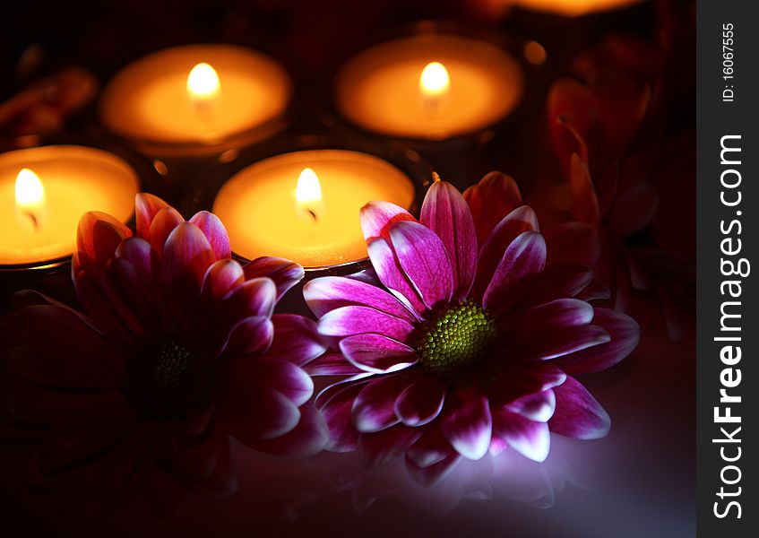 Pink flowers and burning candles. Pink flowers and burning candles