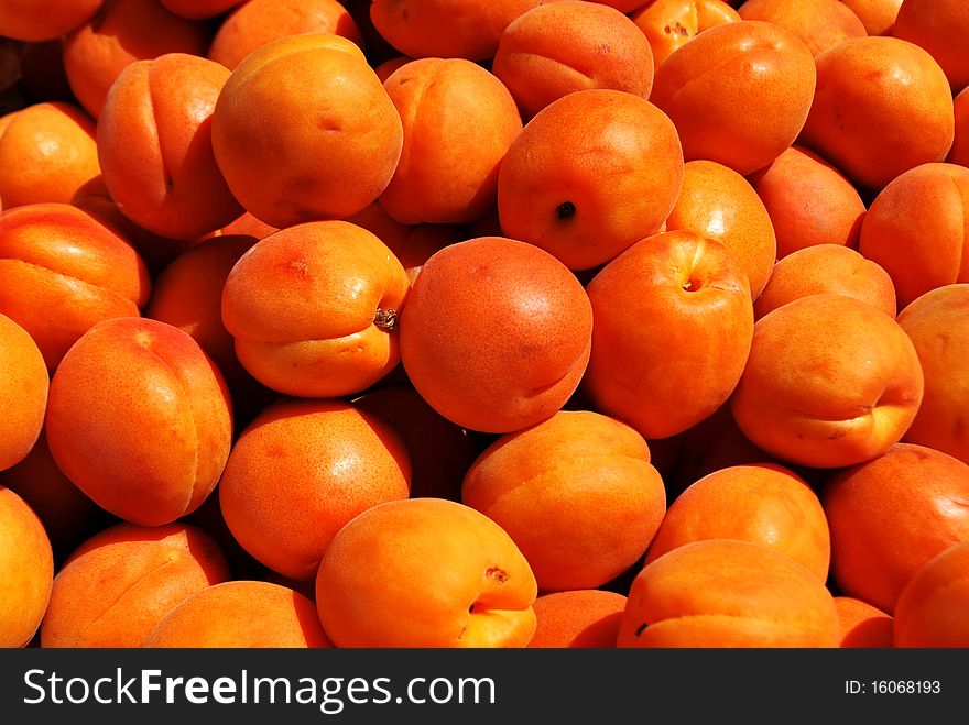 Orange, yellow apricots in a market. Orange, yellow apricots in a market