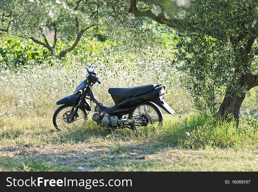 Motorcycle sat in the grass and trees