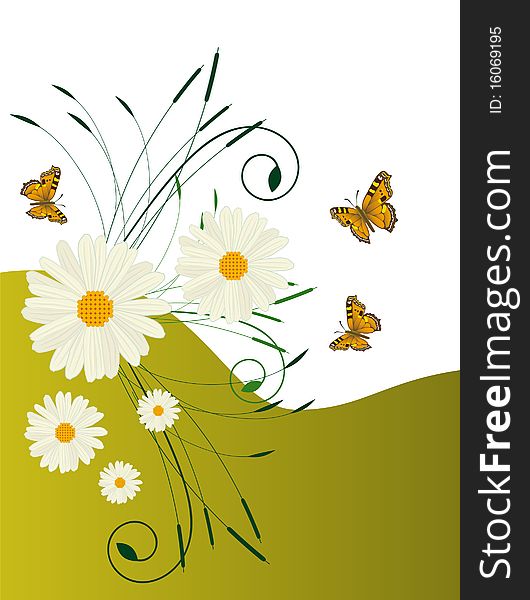 A Background With Daisies And Butterflies