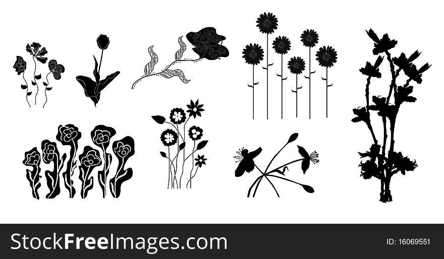 Set of 8 floral silhouettes, elements for your graphic design. Set of 8 floral silhouettes, elements for your graphic design