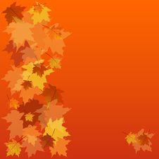 Autumnal Background Royalty Free Stock Images