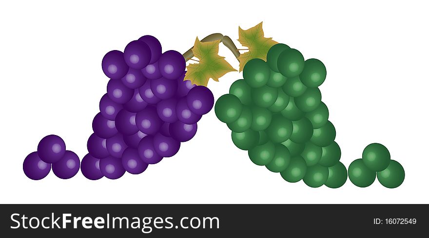 Grapes