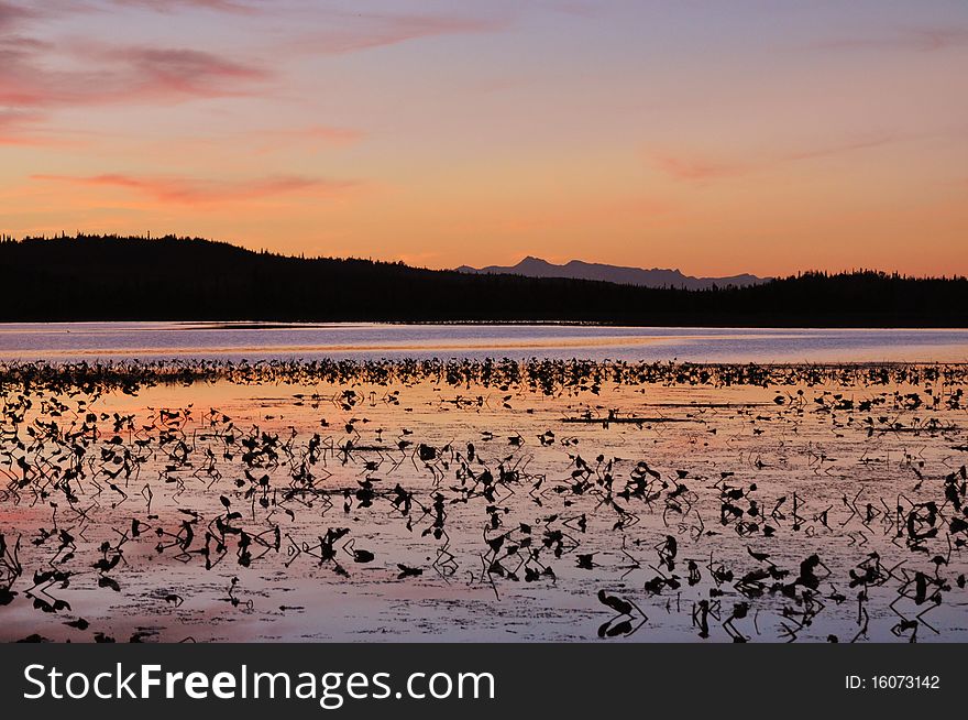 This is a sunset photo on lilly pad lake in Alaska. This is a sunset photo on lilly pad lake in Alaska