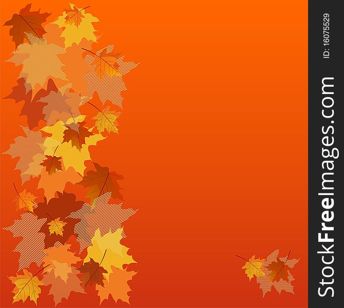 Beautiful Autumnal Background with colorful Maple leaves