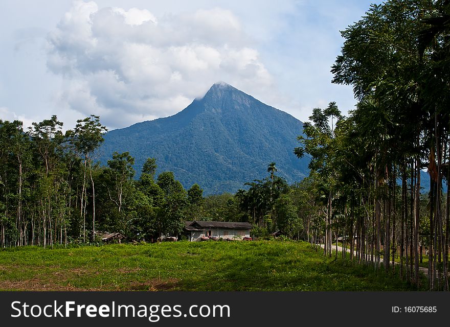 The mountain is surrounded by nature