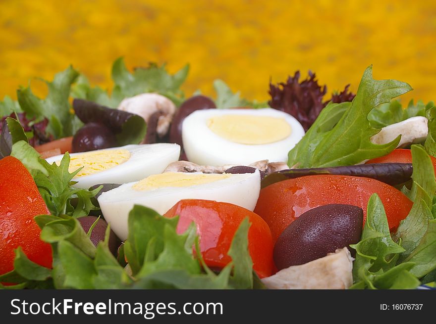 Fresh egg salad with lettuce and tomato olive mushroom