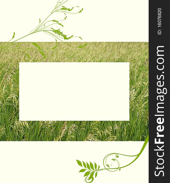 A white frame bordered by a field foliage pattern , like a corn field. A white frame bordered by a field foliage pattern , like a corn field