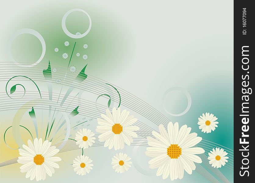 Abstract background with white daisies. Abstract background with white daisies