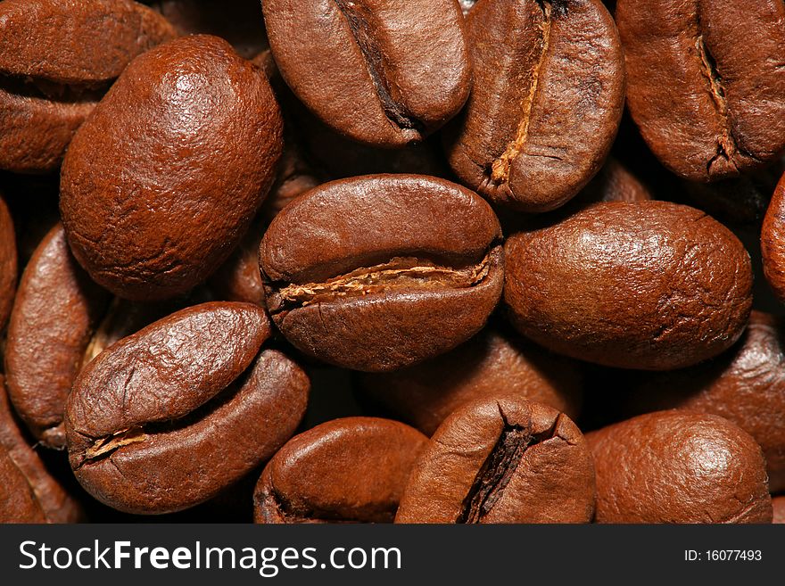 Coffee Beans. Close Up View