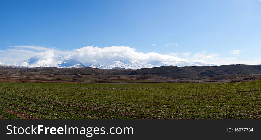 Panorama of spring fields and snowy mountains. Panorama of spring fields and snowy mountains