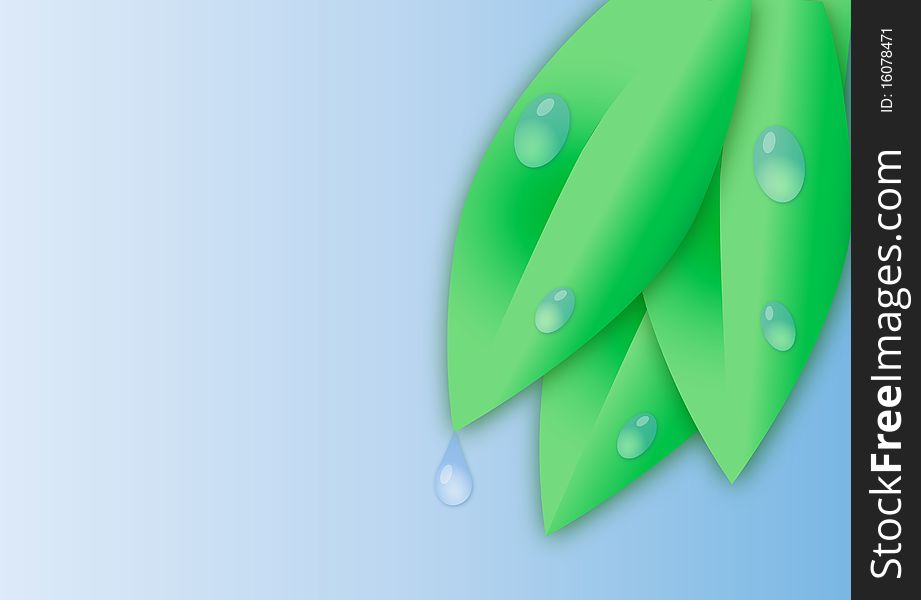 Illustration background with green sheet and dewdrop