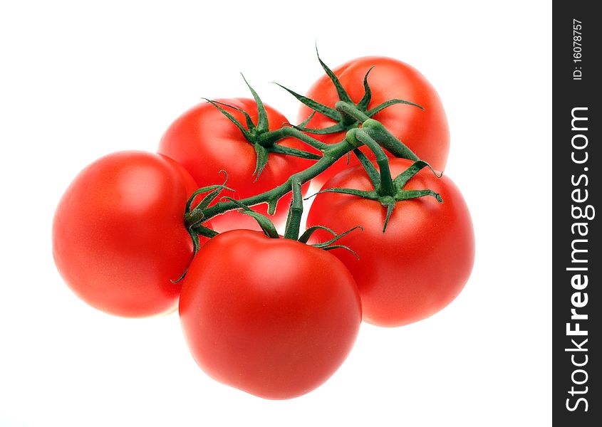Red Tomatoes Isolated Over White Background