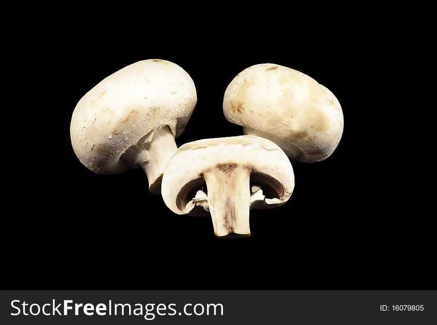 Three mushrooms isolated on white