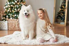 Girl With A Dog Near The Christmas Tree Stock Photography Girl With A Dog Near The Christmas Tree Stock Photography