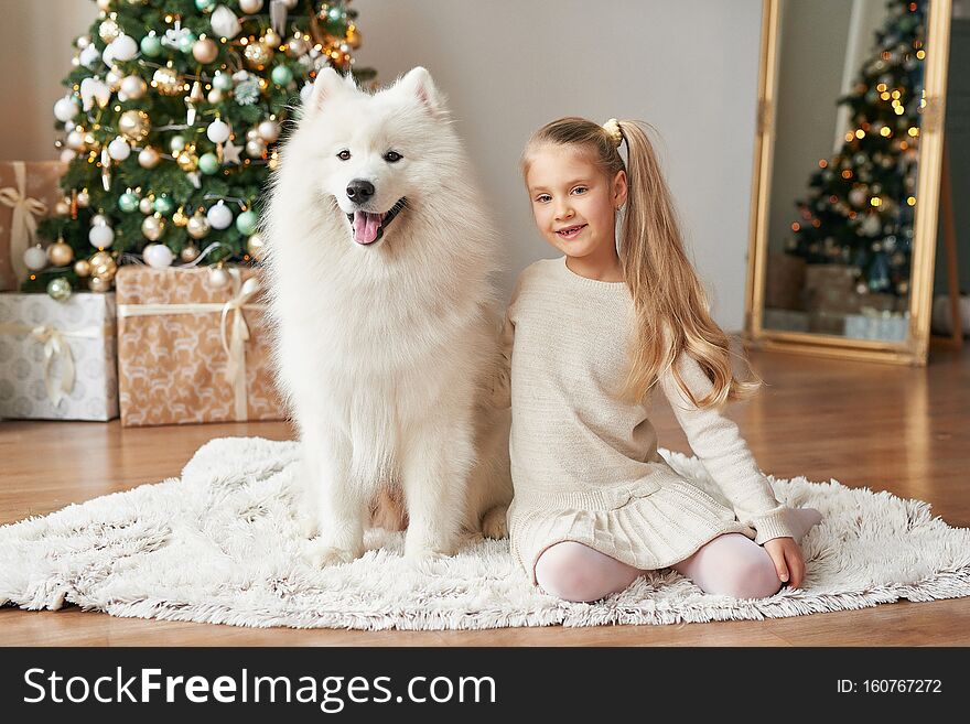 Girl with a dog near the Christmas tree on the Christmas background