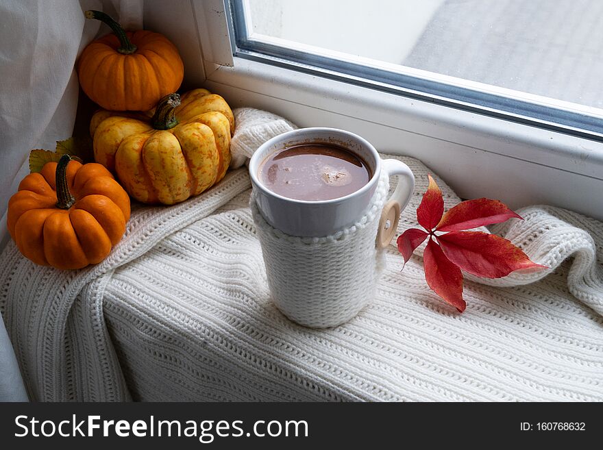 Fall cup of chocolate on windowsil, autumn view in background. Fall cup of chocolate on windowsil, autumn view in background