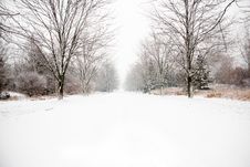 Snow Covered Country Road Royalty Free Stock Photography Snow Covered Country Road Royalty Free Stock Photography
