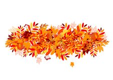 Autumn Leaves Background Stock Images Autumn Leaves Background Stock Images