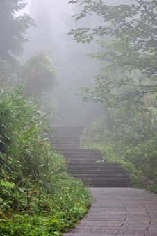 Road And Steps In Fog Royalty Free Stock Photography Road And Steps In Fog Royalty Free Stock Photography