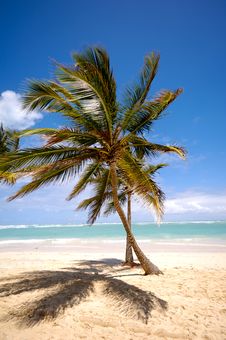 Tropical Beach Royalty Free Stock Photos Tropical Beach Royalty Free Stock Photos