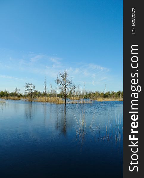 Blue lake with tranquil water. Blue lake with tranquil water.