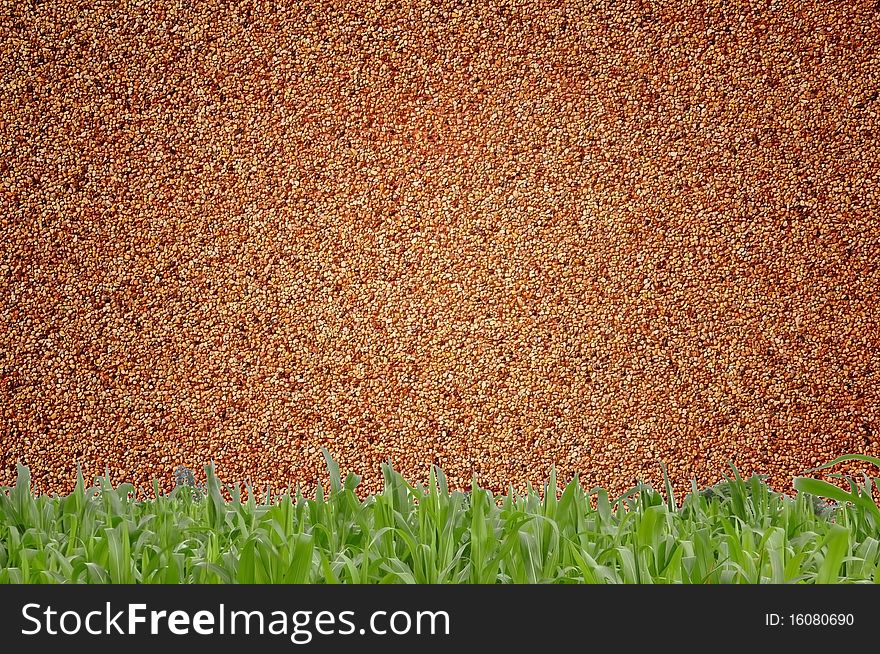 Sandwall and grass background view