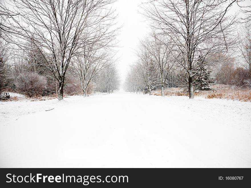 Snow covered country road