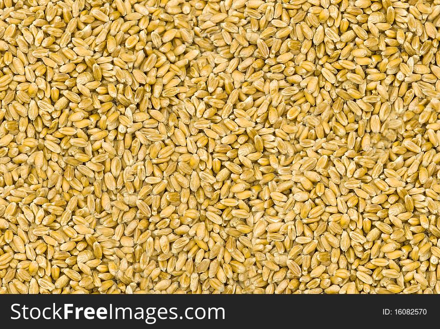 Many yellow grains fill all shot
