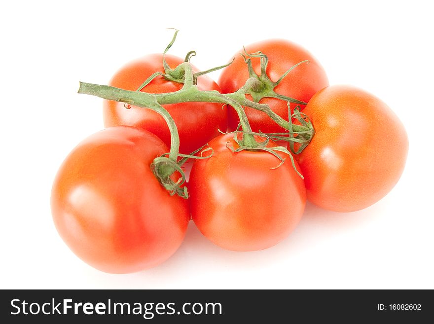 Red tomatoes on a green twig on white background